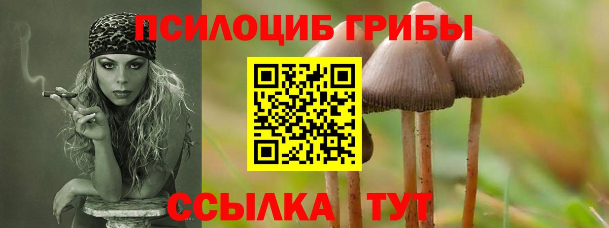 Галлюциногенные грибы прущие грибы  Вход с VPN  Новочебоксарск 